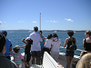 s_A_PICT0568_thumb.png